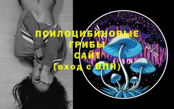 а пвп мука Пересвет