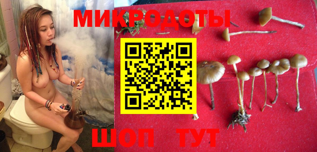 Галлюциногенные грибы прущие грибы Алапаевск